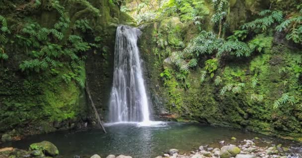 Salto Prego Vízesés Található Prego Folyó Közelében Faial Terra Sao — Stock videók