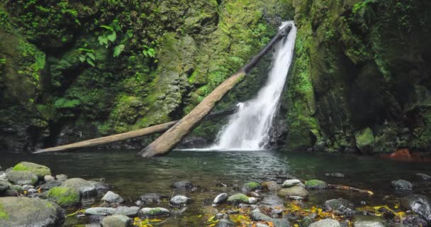 Salto Cagarrao Waterfall Located Prego River Sao Miguel Island Azores — Stock Video