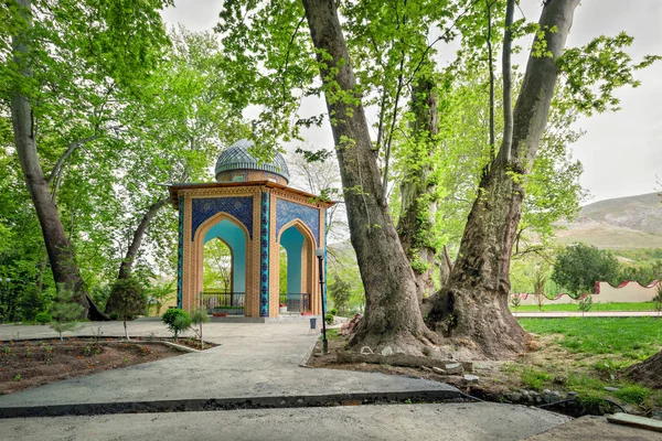 Chinor 花园以不寻常的梧桐树 年龄最老一个是1160年 Urgut 撒马尔罕地区 乌兹别克斯坦 — 图库照片