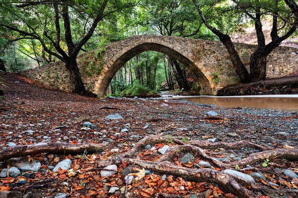 Puente Tzelefos Uno Los Puentes Venecianos Ocultos Bosque Paphos Chipre — Foto de Stock