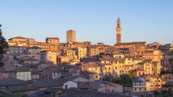 Day Night Time Lapse Cityscape Siena Tuscany Italy — Stock Video