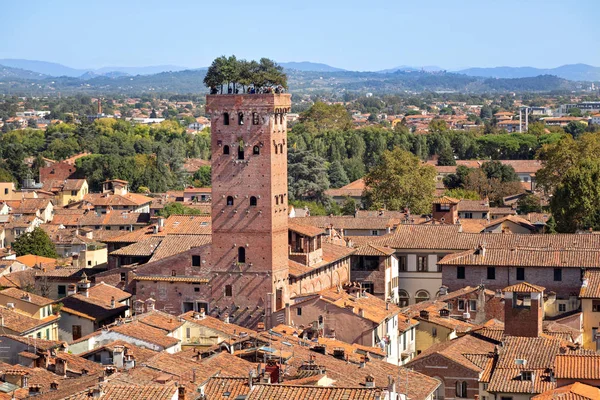 Lucca Itália Torre Guinigi Torre Tijolos Século Xiv Encimada Por — Fotografia de Stock
