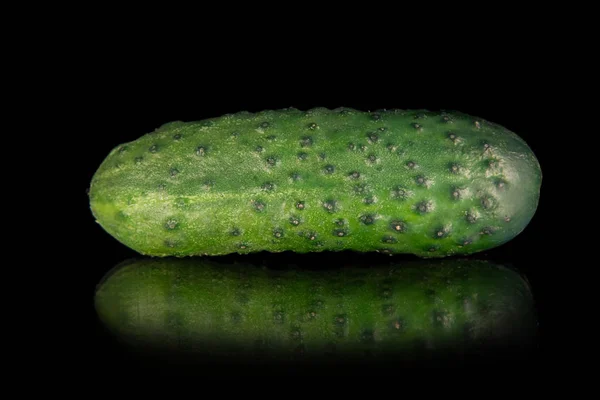 Зелений огірок (серветка) на чорному тлі — стокове фото