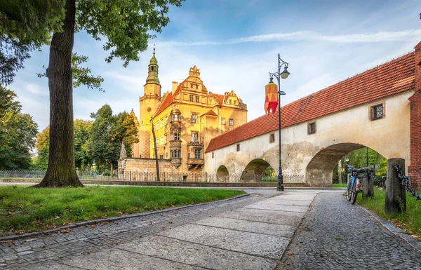 Hrad Olesnica v Dolním Slezsku, Polsko — Stock fotografie