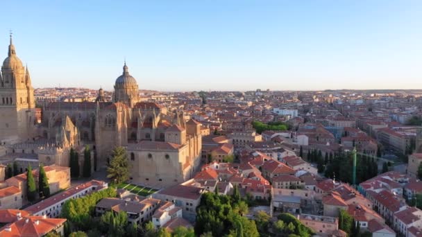 Luftaufnahme Der Kathedrale Von Salamanca Salamanca Kastilien Und León Spanien — Stockvideo