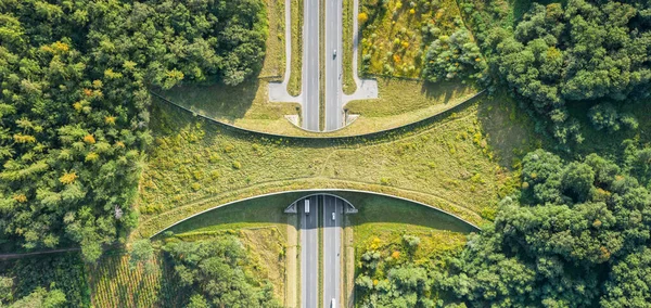 Aerial Top View Ecoduct Wildlife Crossing Vegetation Covered Bridge Motorway — Stock Photo, Image