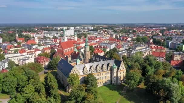 Widok Lotu Ptaka Zabytkowy Zamek Olesnica Województwie Dolnośląskim Polska — Wideo stockowe