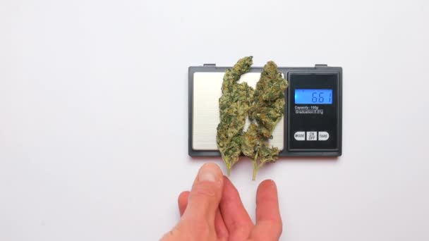 Köparen tar upp en dos medicinsk cannabis från vågen när han köper droger — Stockvideo