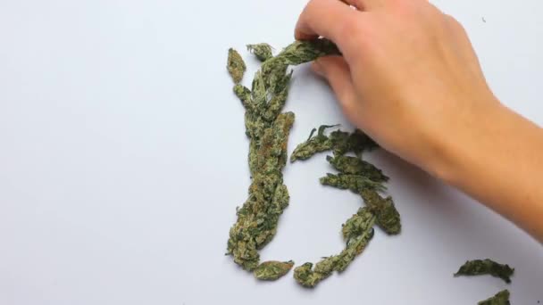 Timelapse. Hands create the letter B, the English alphabet of cannabis. — Stock Video