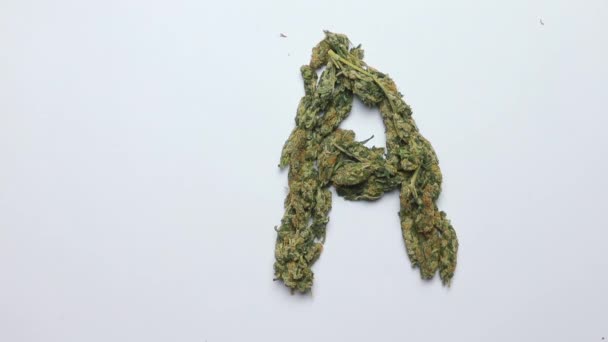 Письмо а сделанное из растения марихуаны — стоковое видео
