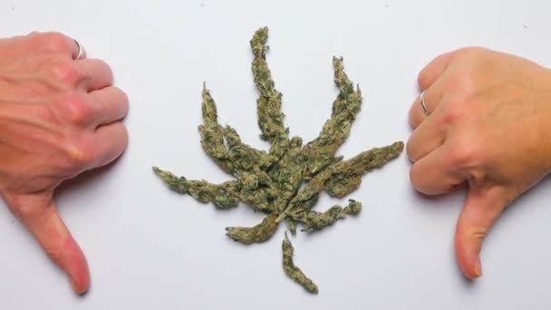 Σύμβολο φύλλων φυτού μαριχουάνας φτιαγμένο από ιατρική κάνναβη. Αντιπάθεια. — Αρχείο Βίντεο