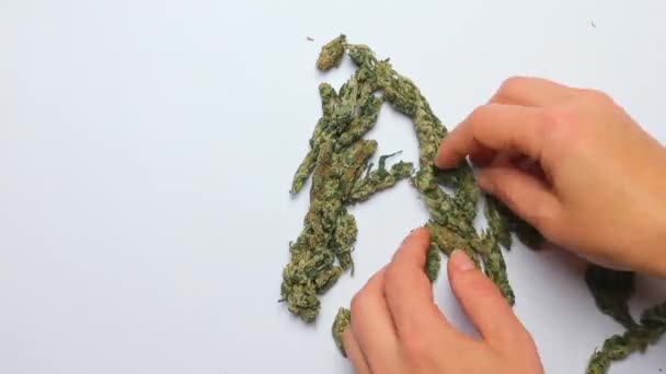 Timelapse. Hands make the letter A from cannabis. — ストック動画