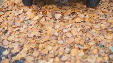 Sonbahar yapraklarına park etmiş bir jiroskopcu.