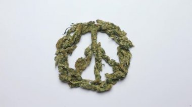 Sanatçılar el işaretleriyle tıbbi marihuana imzalıyorlar.