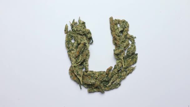 Etter U anglické abecedy vyrobené z marihuany — Stock video