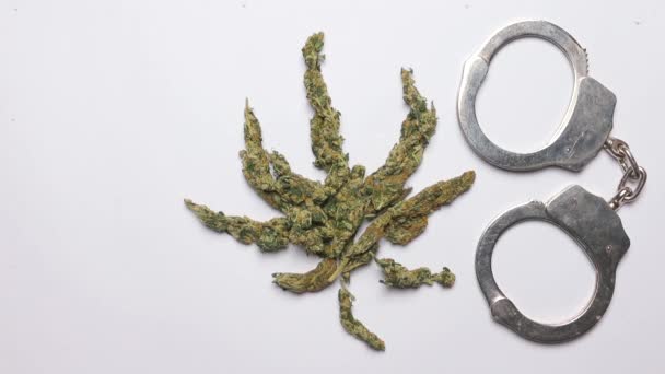 Symbol of a marijuana leaf, handcuffs lie nearby. — Stock Video
