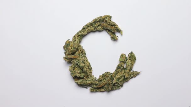 캐너 비스 (cannabis) 에서 영어 알파벳 g (g) 을 만드는 손 — 비디오