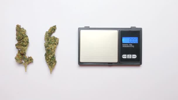 Primer plano del pesaje del cannabis antes de su uso en una fiesta del club . — Vídeo de stock