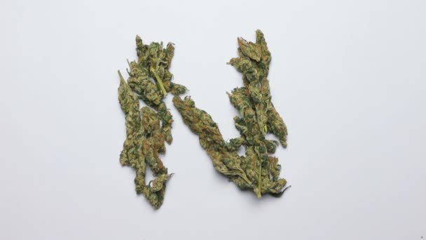 Письмо N английского алфавита из марихуаны — стоковое видео