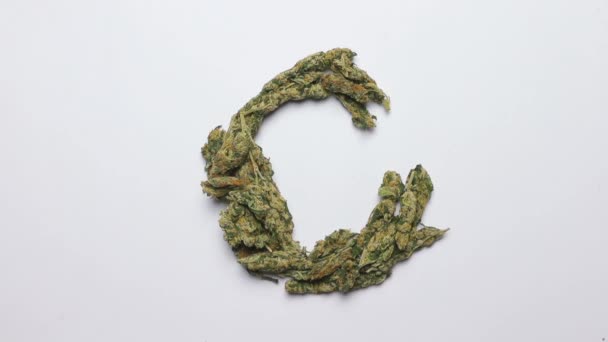 Letra C, alfabeto inglés hecho de cannabis sobre un fondo blanco — Vídeo de stock