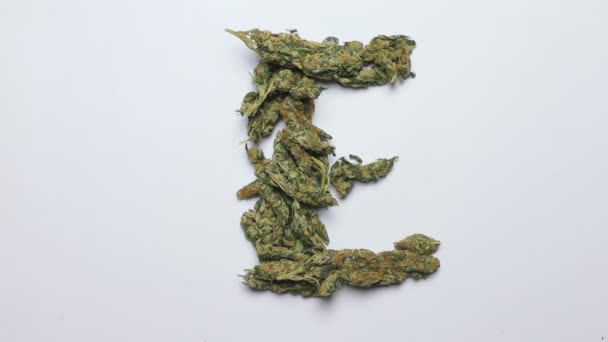 Carta E do alfabeto inglês feito de cannabis — Vídeo de Stock
