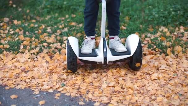 Niño conduce un giroscooter en un parque de la ciudad — Vídeos de Stock