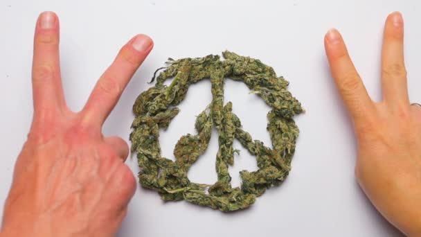 Signo pacífico hecho de marihuana y signo pacífico hecho por las manos de la gente — Vídeo de stock