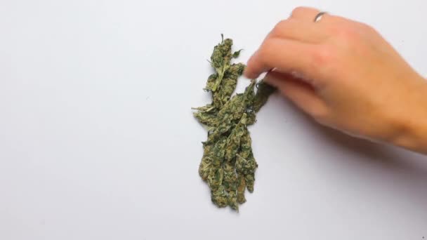 Timelapse. Letter J of the English alphabet made of cannabis — Stok video