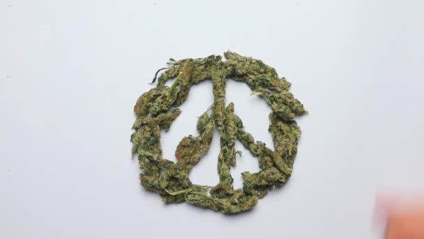 Ręka oczyszcza znak pacyficzny z marihuany medycznej — Wideo stockowe