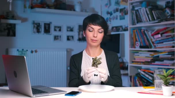 A doctor sitting at a table demonstrates buds of medical marijuana. — Stockvideo