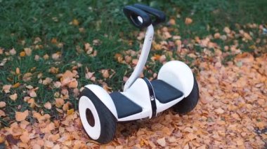 Yaprakların arasına park etmiş jiroskop.