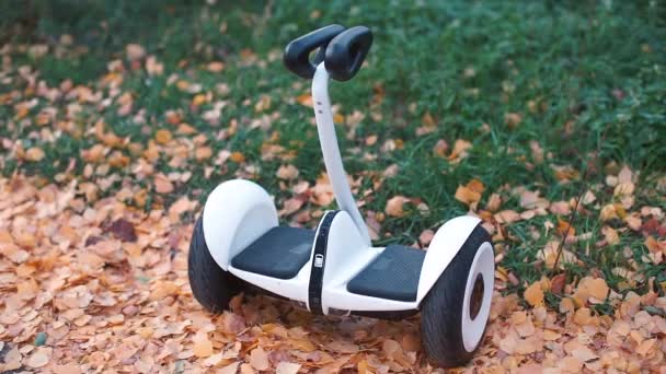 Gyroscooter sonbahar yapraklarına park etmiş sahibini bekliyor. — Stok video