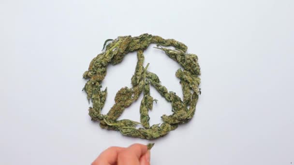 Zaman ayarlı. Tıbbi marihuana çiçeklerinden bir işaret yapar. — Stok video