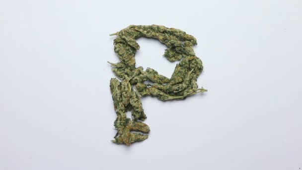 Buchstabe p des englischen Alphabets aus Cannabis, auf weißem Hintergrund. — Stockvideo