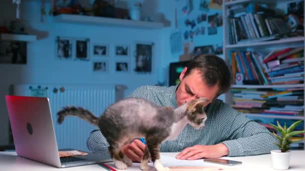 Empresário sentado na mesa do escritório perseguir gato da mesa — Vídeo de Stock