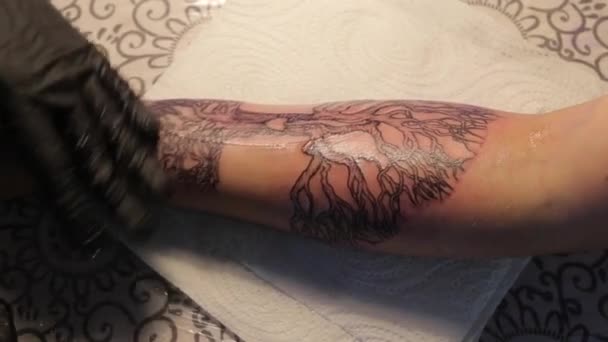 Masowanie świeżego kremu do tatuażu — Wideo stockowe