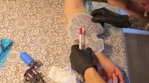 Maître de tatouage dessine une étiquette avant le tatouage — Video