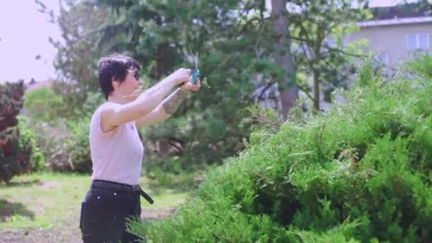 Entretien du jardin dans la maison, coupe des buissons — Video