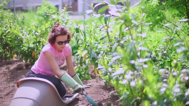 Mujer planta una planta en el suelo — Vídeos de Stock