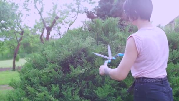 Girl cuts a bush with scissors — Stock Video