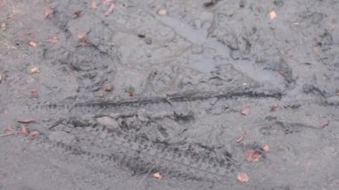 Bisiklet lastiği lastik izlerine yakın çekim