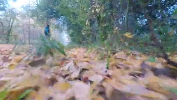 Преследование человека на лесной дороге — стоковое видео