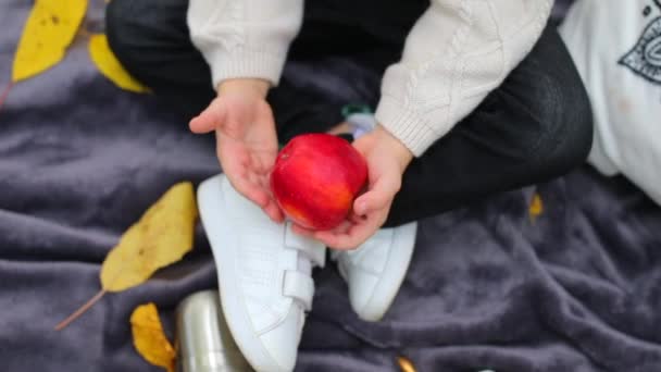Primer plano de una manzana roja en las manos de un niño — Vídeo de stock