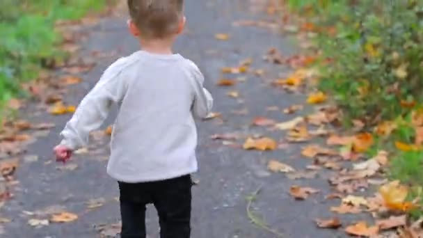 Мальчик бежит по дороге в осеннем лесу — стоковое видео