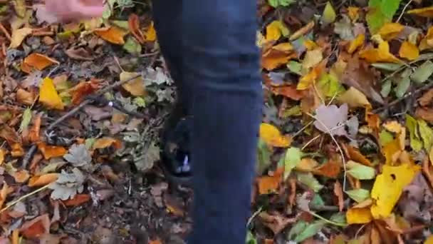 Mann tritt mit Füßen Herbstblätter im Wald — Stockvideo