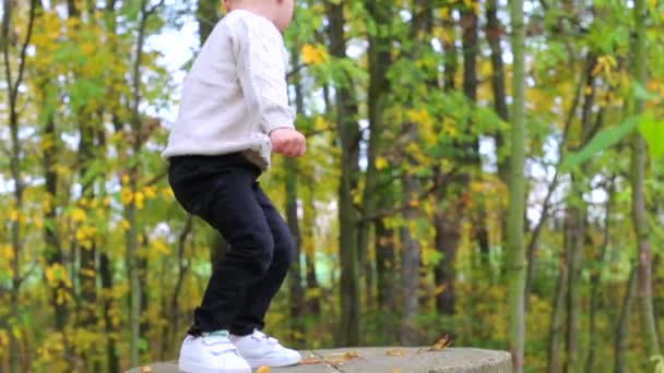 Pojke står på fötterna i höstskogen — Stockvideo