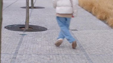 In this serene urban setting, the video showcases a vibrant neighborhood where individuals stroll along treelined sidewalks, depicting everyday life