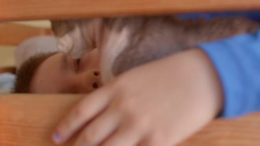 A heartwarming moment of a child bonding with a cat through wooden bars, showcasing the innocence and joy of pet companionship.