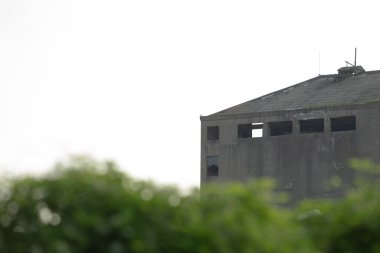 Yeşil yapraklarla kısmen gizlenmiş, parlak bir gökyüzüne karşı kurulmuş, çürüme ve doğal ıslah duygusunu çağrıştıran harap bir binanın görüntüsü..