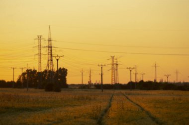 Huzurlu bir günbatımı, elektrik hatlarıyla benekli kırsal bir arazinin üzerine sıcak renkler saçar ve doğal ve elektriğin ahenkli sakin bir görüntüsünü yaratır..